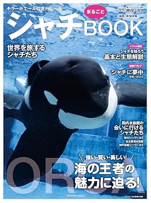 Amazon.co.jp: 大海に響くコール（4） (ゲッサン少年サンデー